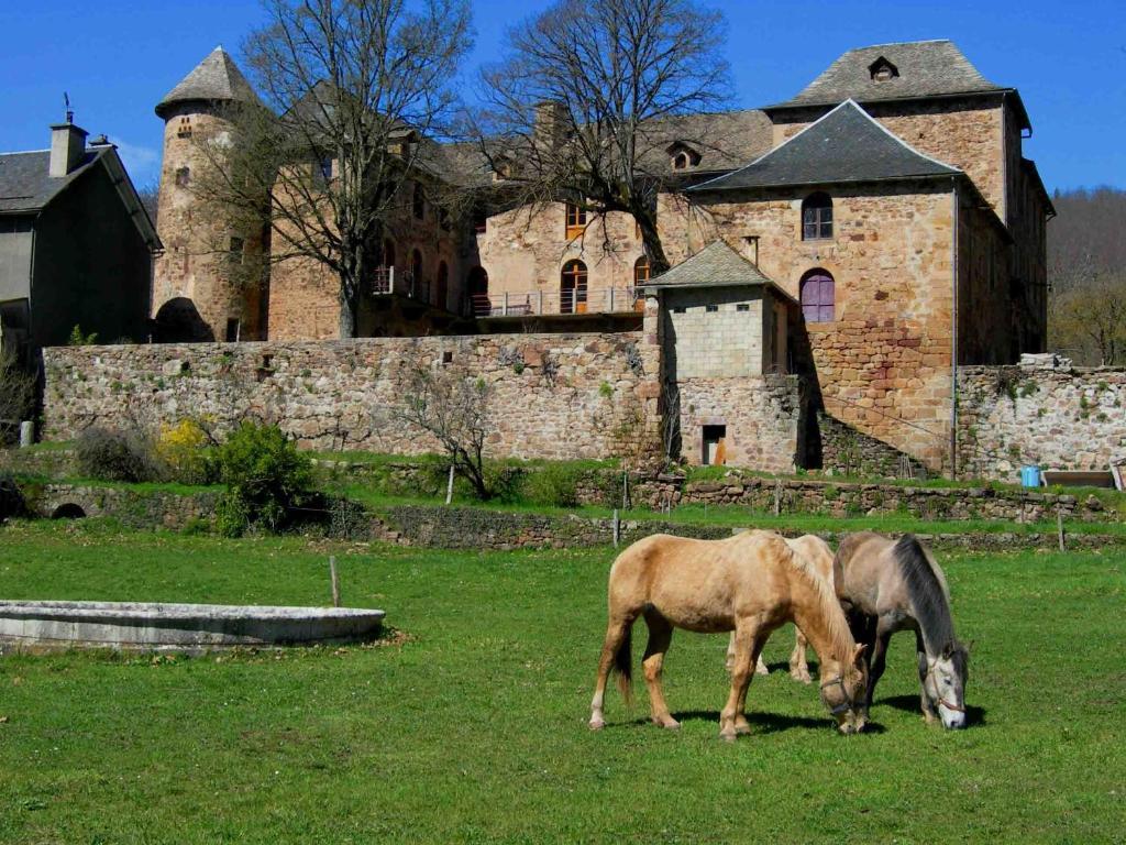 בנסאק Chateau De Salelles מראה חיצוני תמונה